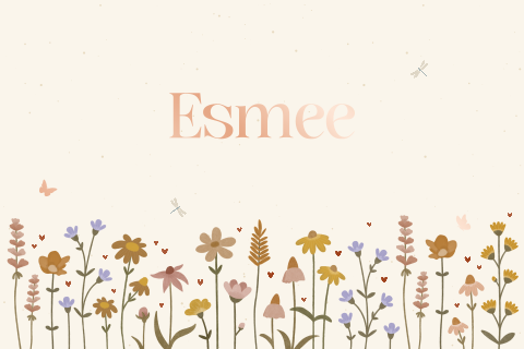 geboortekaartje Esmee met veldbloemen in aardetinten en hartjes