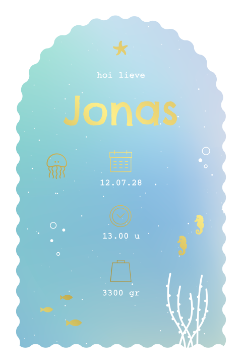 geboortekaartje Jonas met boog en zeedieren