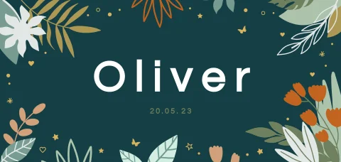 Geboortekaartje jongen botanisch met sterretjes