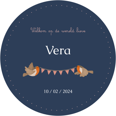 geboortekaartje meisje cirkel met roodborstjes