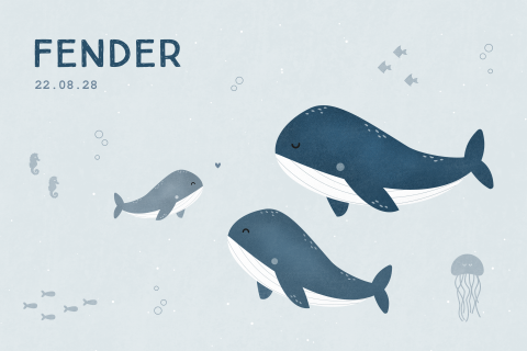 geboortekaartje Fender met walvissen