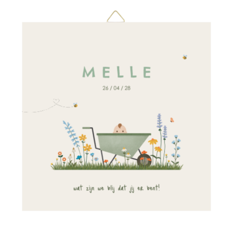 geboortetegeltje met kruiwagen in bloemenveld