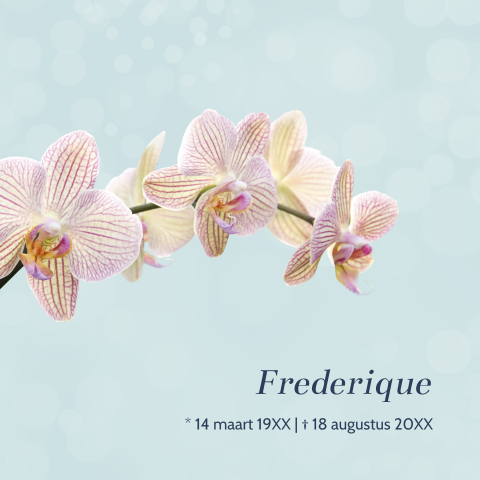 Rouwkaart orchidee