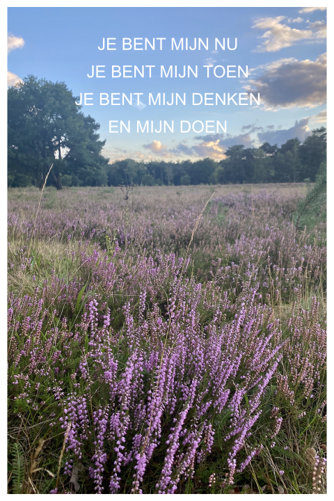 Gedachteniskaartje heide