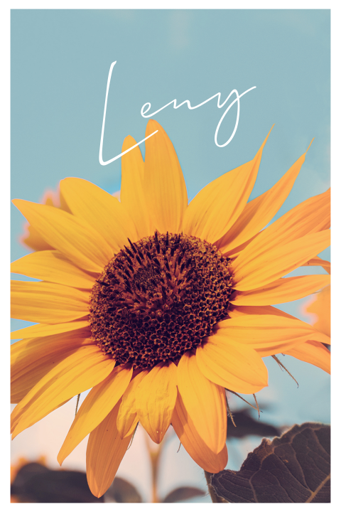 Rouwkaart Zonnebloem