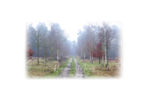 Rouwkaart bos bomen