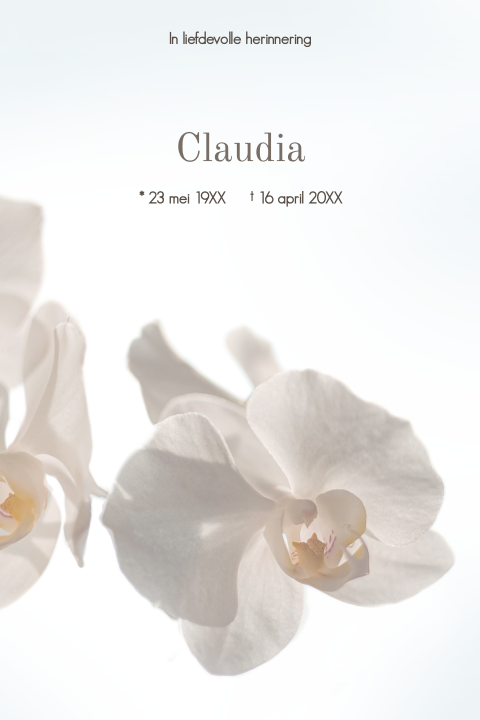 Rouwkaart orchidee