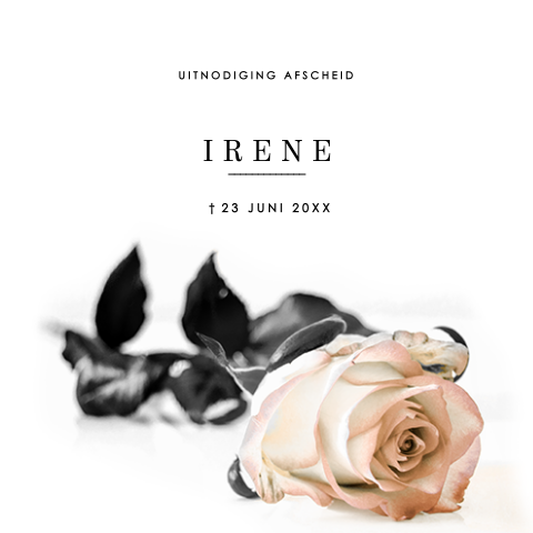 Rouwkaart roos