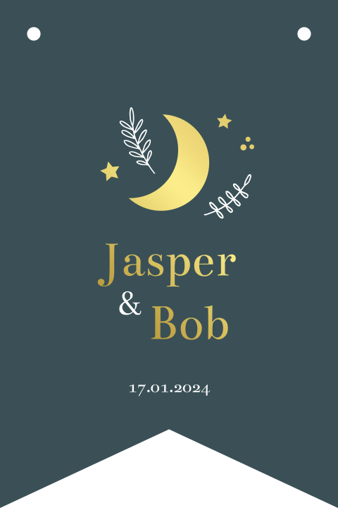 Geboortekaartje jongen tweeling stans vlag groen goudfolie