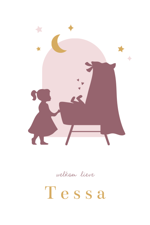 Geboortebord dubbel 60x40 Tessa wieg silhouet