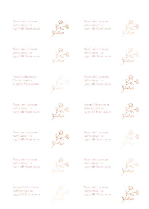 Adresstickers geboortekaartje rond Lise