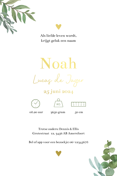 Geboortekaartje botanisch kalkpapier takjes goudfolie