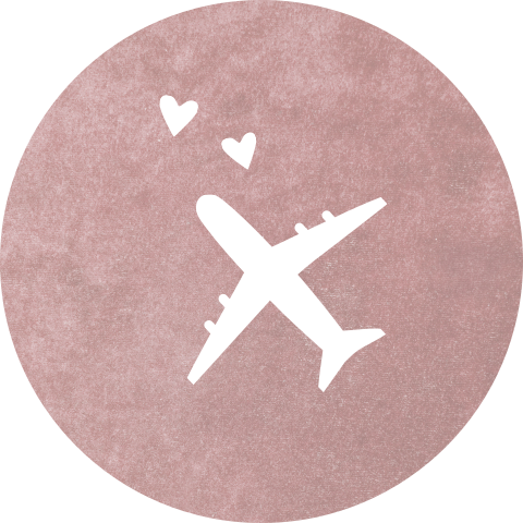 Sluitsticker trouwkaart Melissa & Nick velvet roze vliegtuig