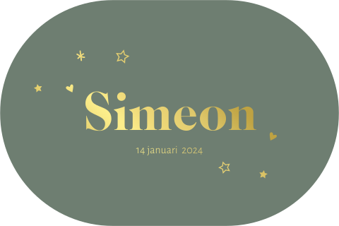 Geboortekaartje jongen stans vorm ovaal met sterren en goudfolie