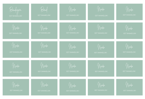 NAAMKAARTJES IN MINTGROEN, SIERLIJK - 25 STUKS 8X5 CM