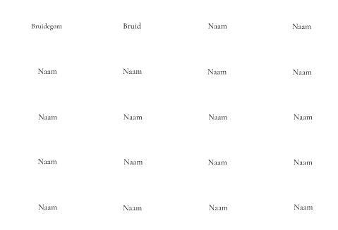 Naamkaartjes bruiloft wit klassiek lint - 20 stuks 9x4,5 cm
