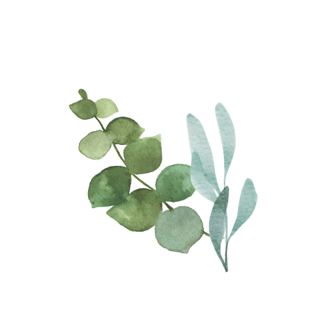 Sluitsticker geboortekaartje jongen takjes botanisch