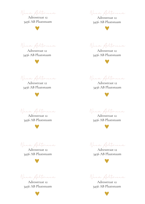 Adresstickers geboortekaartje recht Jacky