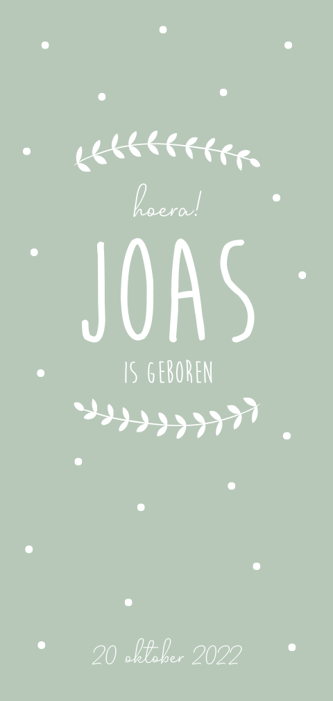Geboortekaartje jongen mintgroen met takjes en stipjes
