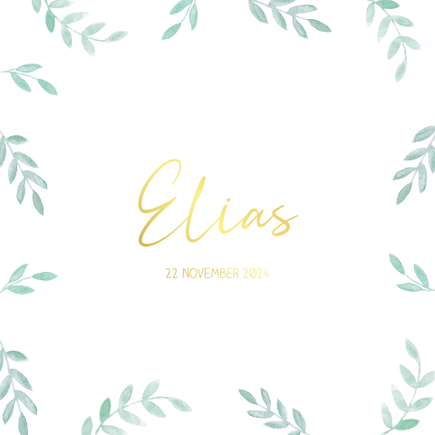 Geboortekaartje jongen botanisch met takjes en goudfolie