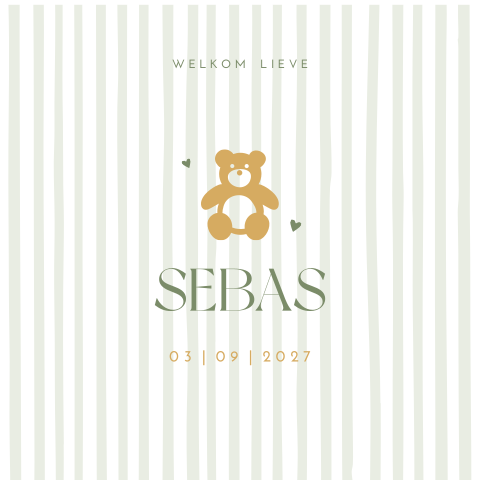Geboortebord jongen Sebas beertje