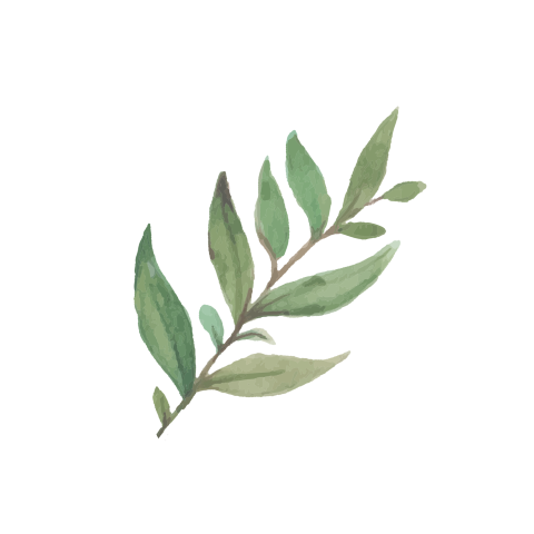 Sluitsticker geboortekaartje jongen takje botanisch