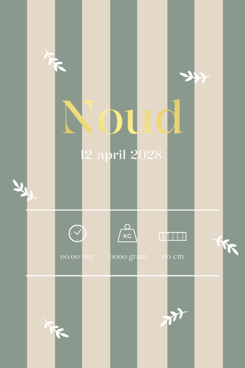 Geboorteposter jongen streepjes takjes - Noud