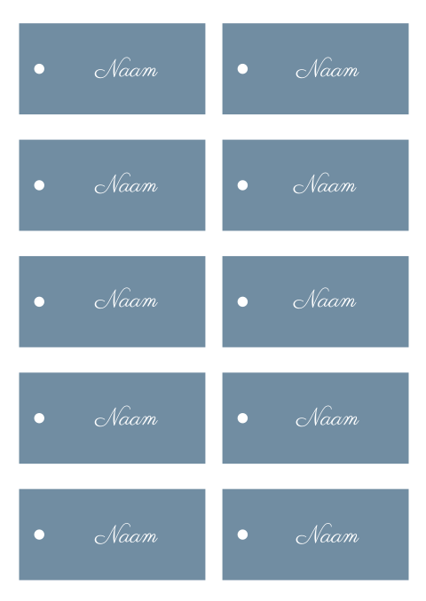 Naamkaartjes bruiloft blauw lint