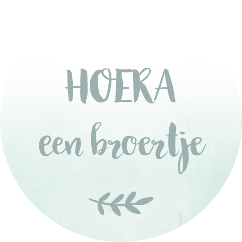 Sluitsticker geboortekaartje Lars groen watercolor hoera broertje