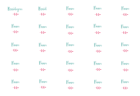 NAAMKAARTJES SIERLIJK ROOD TAKJE EN BLAUW- 25 STUKS 8X5 CM