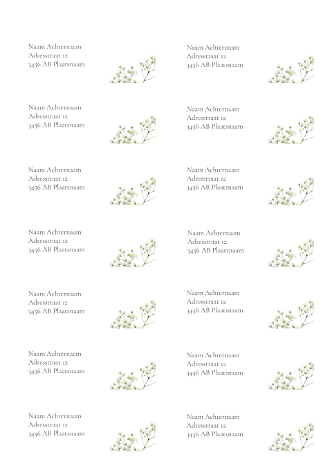 Adresstickers trouwkaart rond Ivory Blossoms