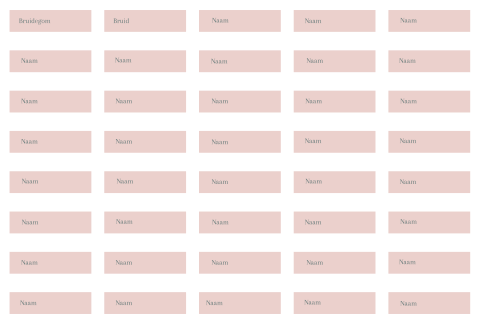 Naamkaartjes bruiloft labels lichtroze - 40 stuks 8x3 cm