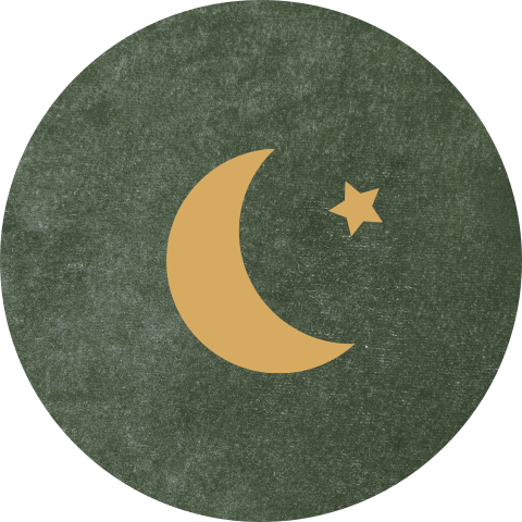 Sluitsticker geboortekaartje Jesse velvet groen