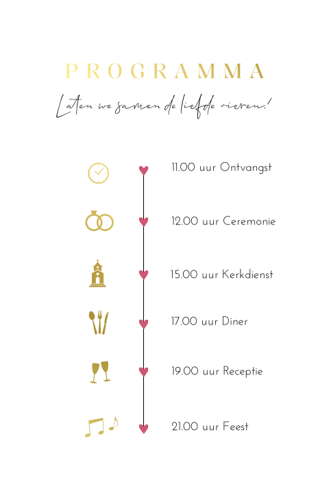 Dagprogramma modern roze goud
