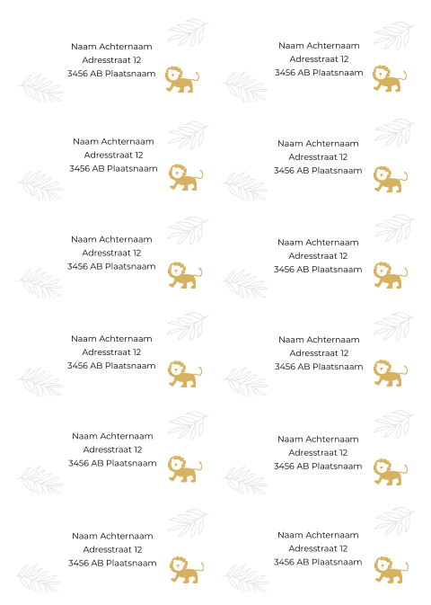Adresstickers geboortekaartje Daan jungle takjes leeuw