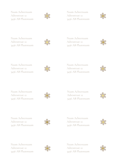 Adresstickers geboortekaartje recht Rosie
