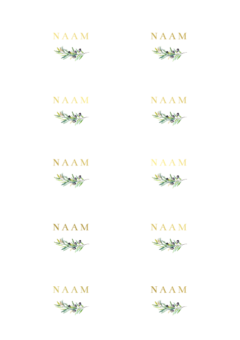 Naamkaartjes bruiloft olijftakje goudfolie