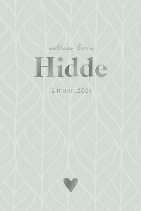 Geboortekaartje jongen patroon mintgroen hoogglans