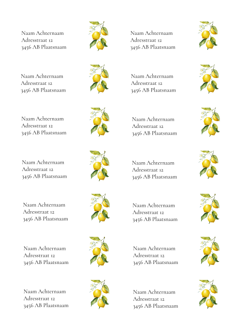 Adresstickers trouwkaart rond Lemon Love