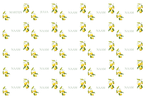 Naamkaartjes bruiloft citroen lemon love - 25 stuks 8x5 cm