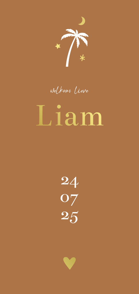 Geboortekaartje jongen tropisch roestbruin, palmboom & goudfolie