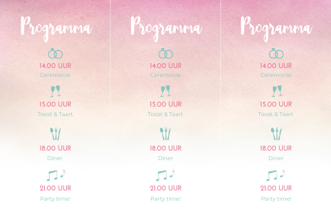 Trouwkaart programma kaartje roze watercolor met iconen