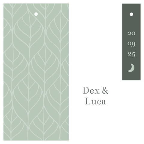 Geboortekaartje labelkaart tweeling labels groen hoogglans modern