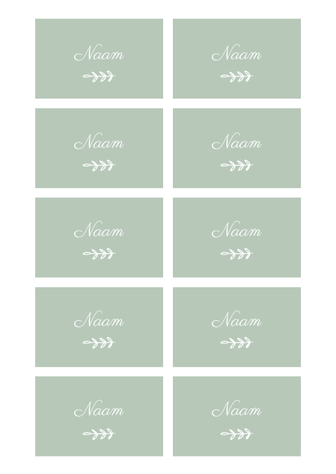 Naamkaartjes bruiloft mintgroen takje klassiek