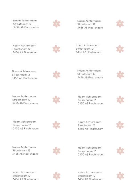 Adresstickers geboortekaartje Romee