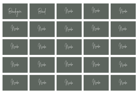 NAAMKAARTJES DONKERGROEN SIERLIJK - 25 STUKS 8X5 CM