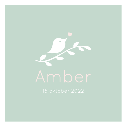 Geboortekaartje meisje mintgroen met vogeltje