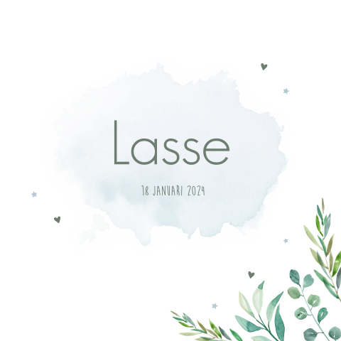 Geboortekaartje jongen watercolor takjes lichtblauw