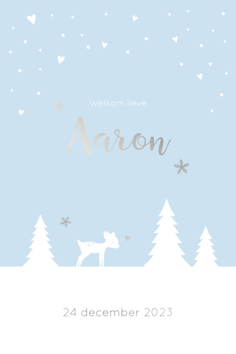Geboortekaartje jongen lichtblauw winter sneeuw zilverfolie