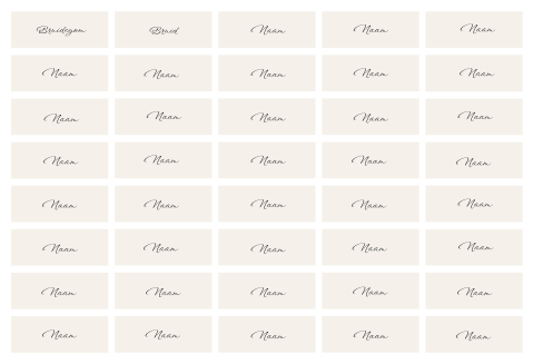 Naamkaartjes bruiloft labels beige klassiek - 8x3 cm 40 stuks